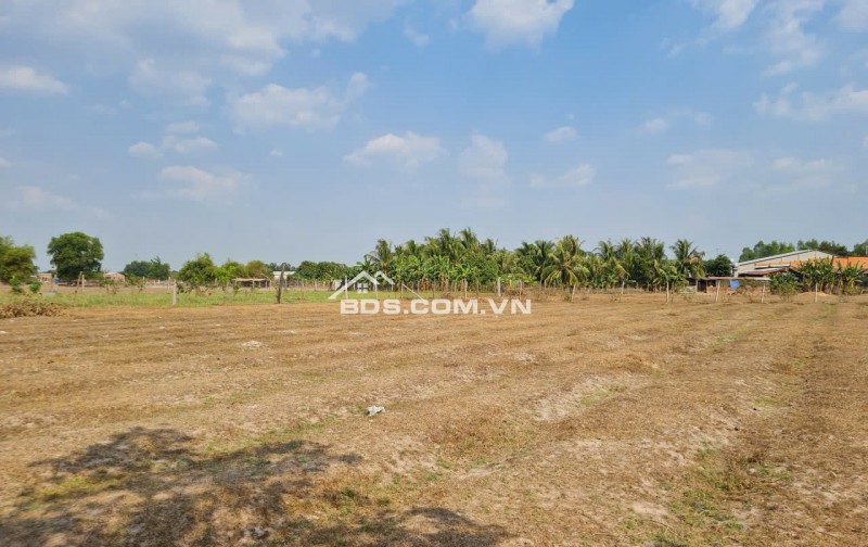 Ngân hàng phát mãi bất động sản tại mặt tiền đường ĐT 821, xã An Ninh, Tỉnh Tây Ninh (trước là xã Lộc Giang, huyện Đức Hòa, tỉnh Long An).